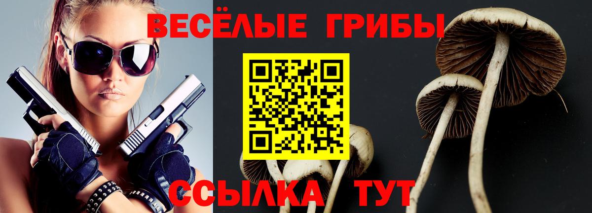 Псилоцибиновые грибы Cubensis  Вход с VPN  Псилоцибиновые грибы Cubensis  Дедовск 